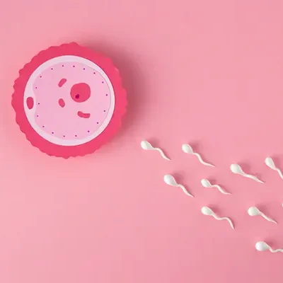 infertility treatment